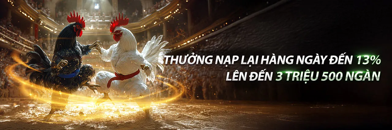 Đá Gà Thomo Trực Tiếp Hấp Dẫn